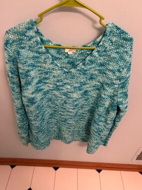 J. Jill Aqua Marled V-Neck Sweater
